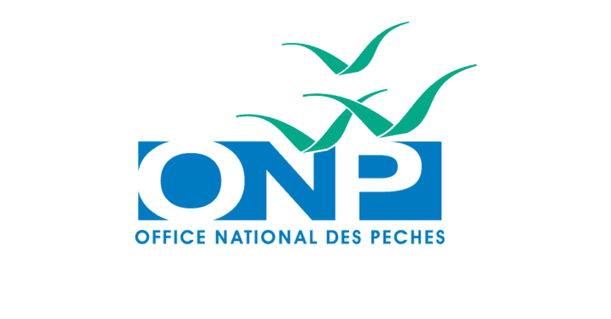 ONP
